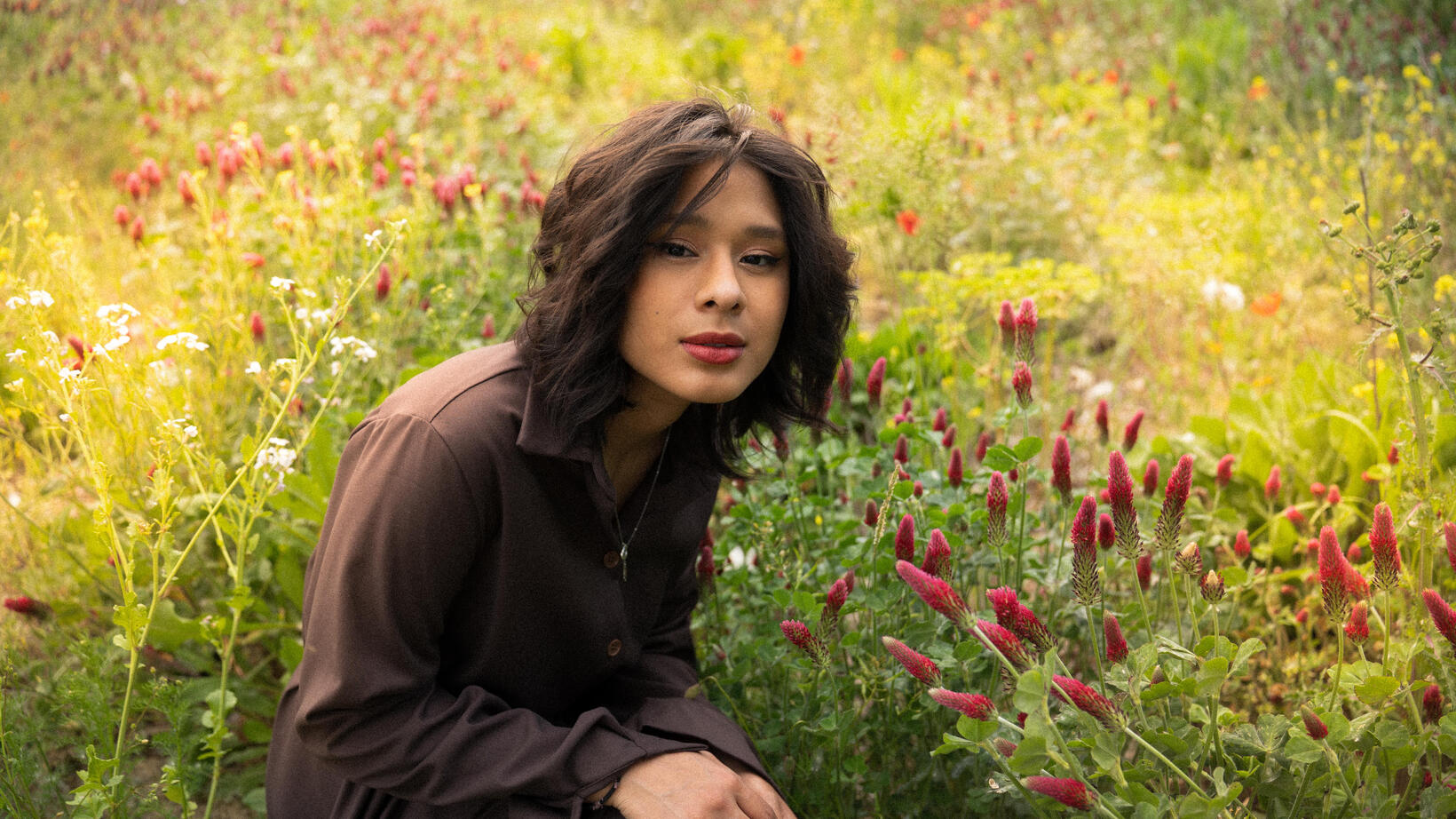 Viverra orci dapibus